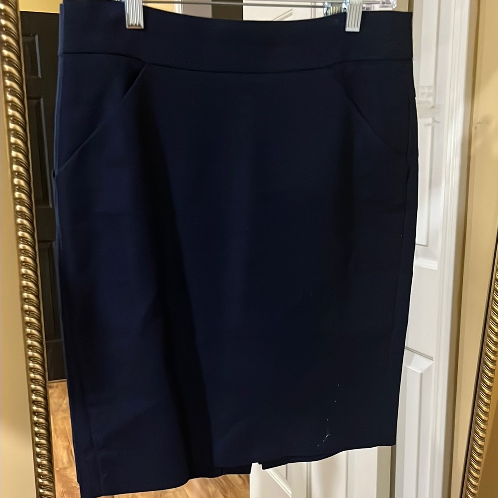 Elegant J. Crew Women's Skirt